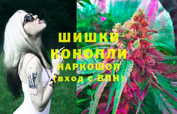 бошки Богородицк