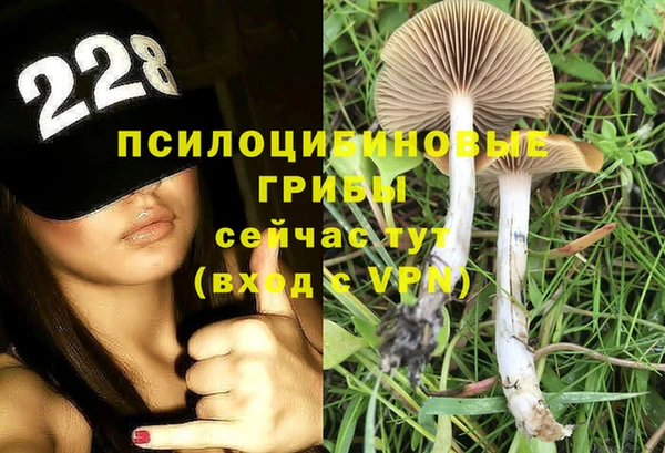 альфа пвп Богданович