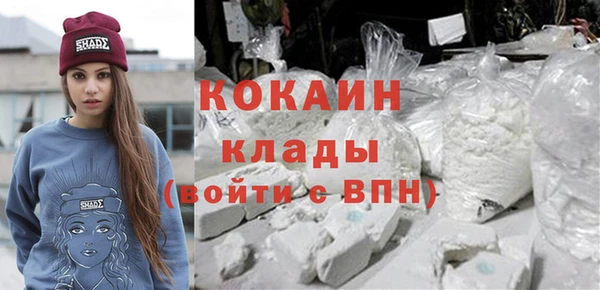 бошки Богородицк